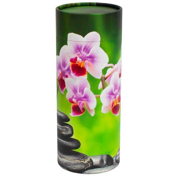 Orchid Scattering Tube