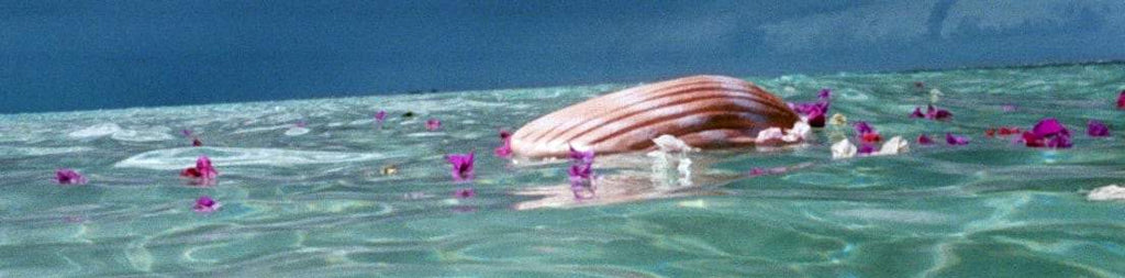 biodegradable urns for water burial