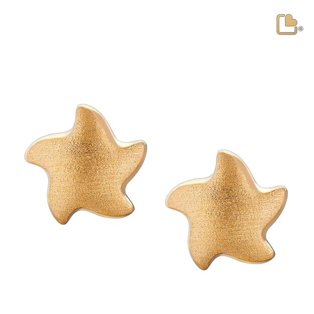 Stud Earrings Angelic Star Gold Vermeil Two Tone