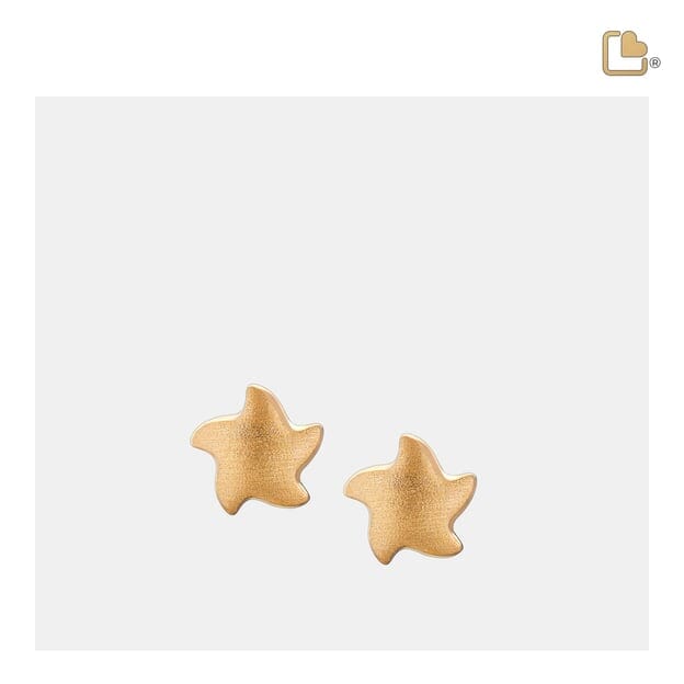 Stud Earrings Angelic Star Gold Vermeil Two Tone