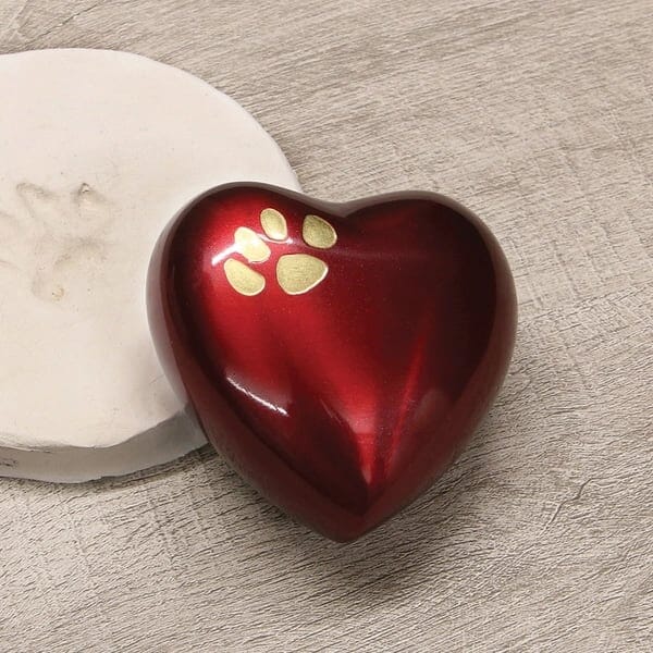 Odyssey Paw Print Crimson Heart Pet Keepsake