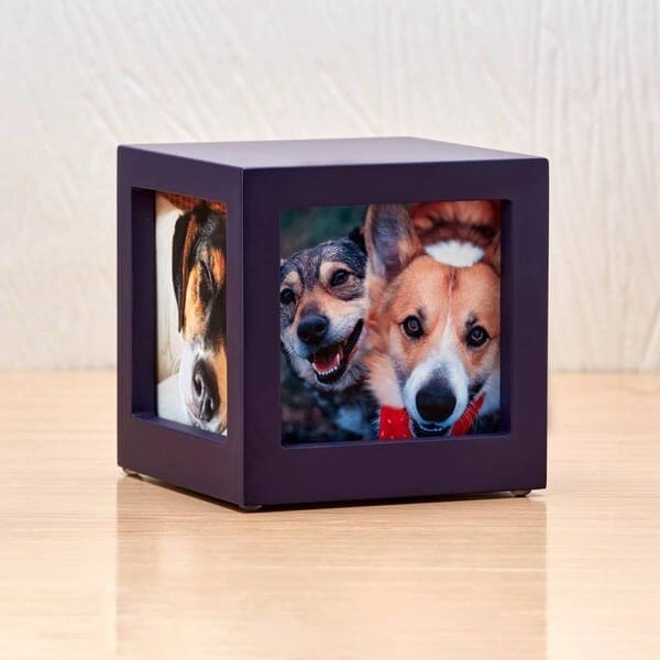 Urna para mascotas con forma de cubo fotográfico