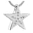 Star Cremation Pendant - Stainless Steel