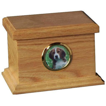 Urna de madera tradicional para mascotas pequeña