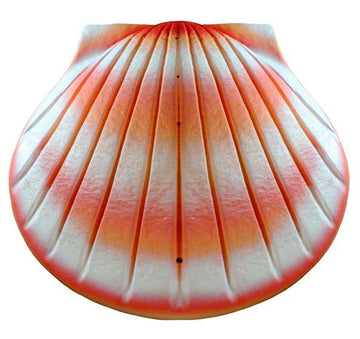 Urna biodegradable Shell
