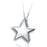 North Star Cremation Necklace