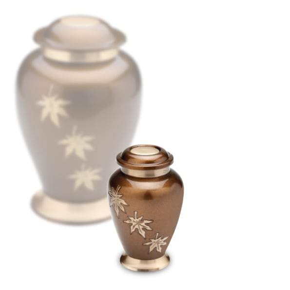 udc-3873-01, udc-3873