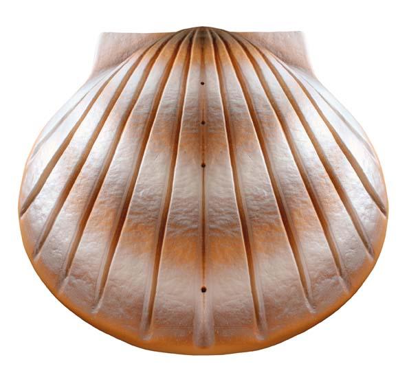 Urna biodegradable Shell